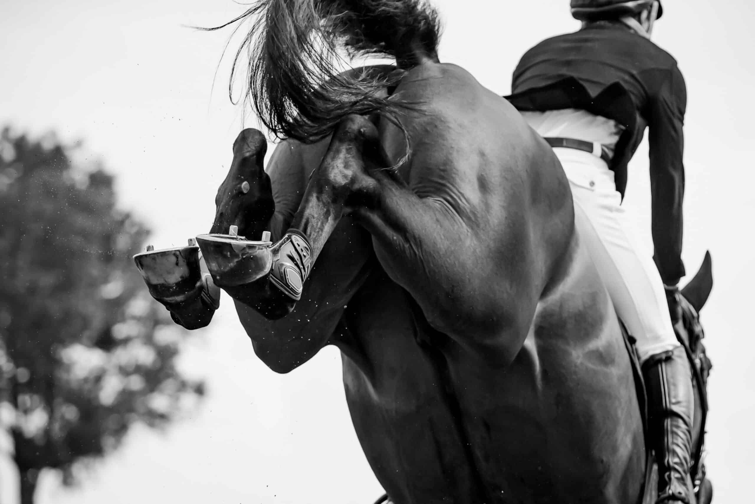 Back view of a horse and rider jumping