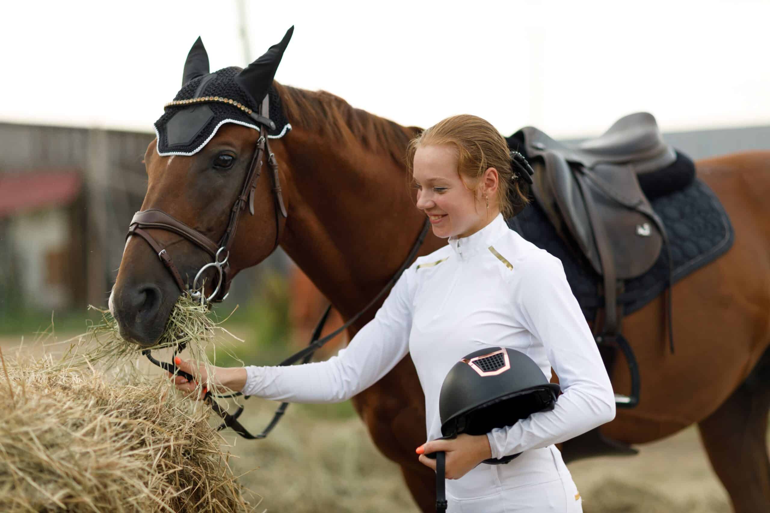 Jumping horses for sale: Young rider in white feeding hay to a saddled sport horse