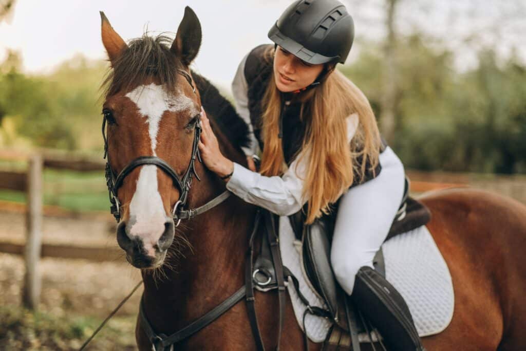Jumping horses for sale: Female rider sitting on a brown sport horse, gently connecting with the animal