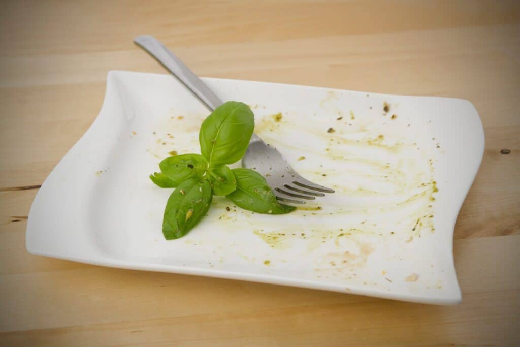 Leerer Teller mit Basilikum | Vape